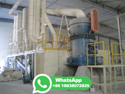 Biomass and Municipal Solid Waste (MSW) Gasification